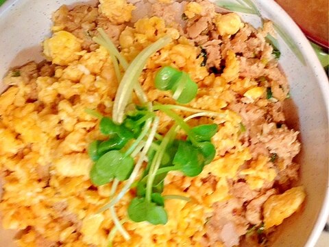 冷凍豆腐で！！そぼろ丼